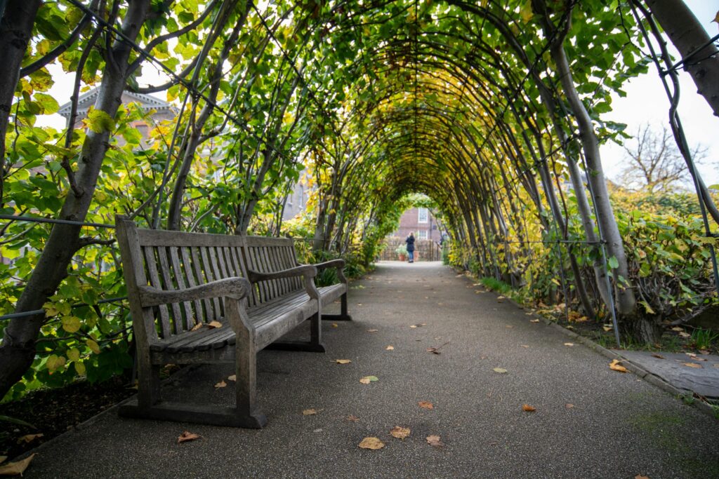 Hyde Park London. Beautiful places to visit london